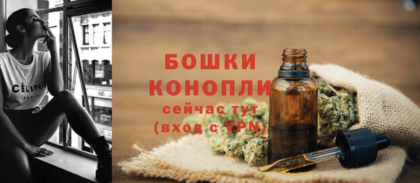тгк Белокуриха