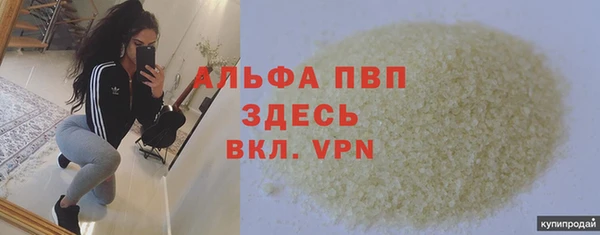 хмурый Новозыбков