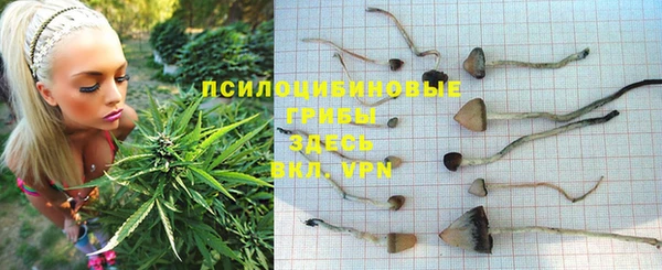 прущие крисы Беломорск